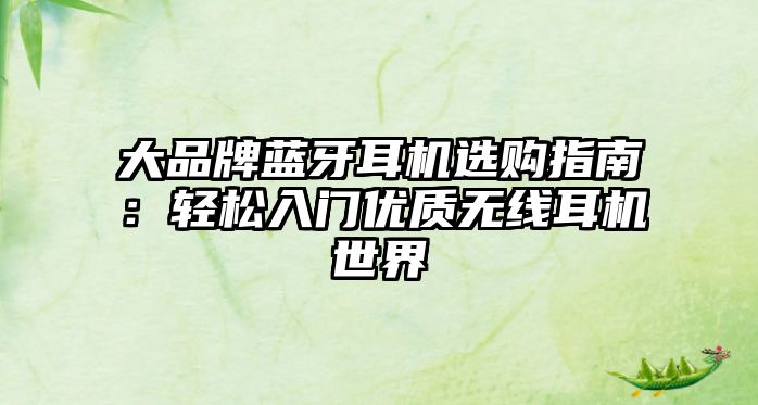 大品牌藍(lán)牙耳機(jī)選購指南：輕松入門優(yōu)質(zhì)無線耳機(jī)世界